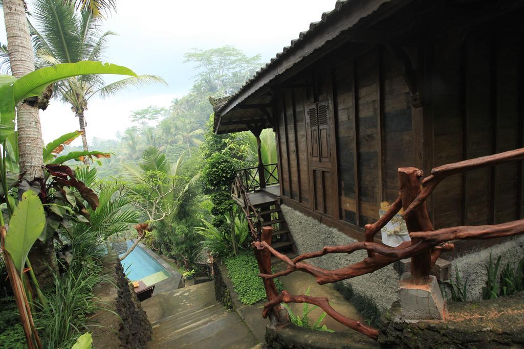 Ubud Jungle Holy Water Dış mekan fotoğraf