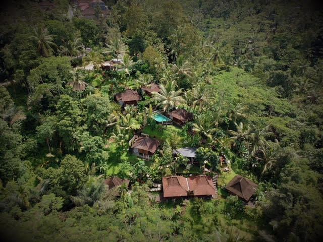 Ubud Jungle Holy Water Dış mekan fotoğraf